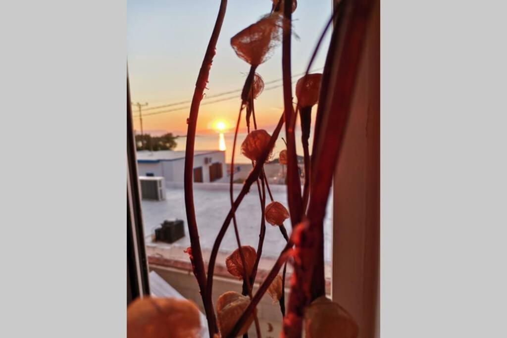Apartmán Mar Azul Σπίτι Δίπλα Στην Παραλία Και Στο Κέντρο! Elafonissos Exteriér fotografie